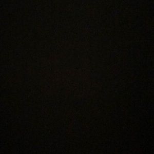 Meet your Posher, Molly